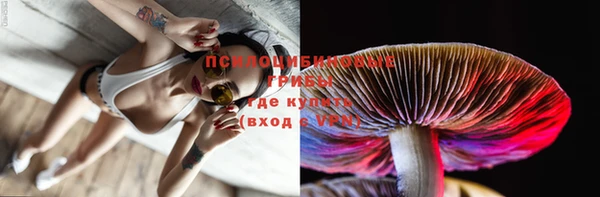 прущие крисы Сатка