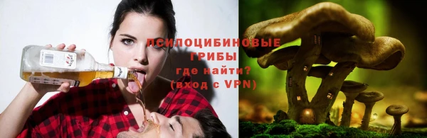 прущие крисы Саяногорск
