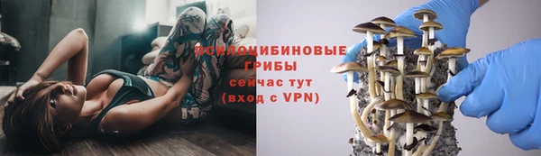 прущие крисы Сатка