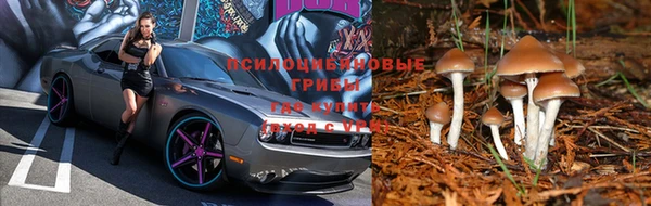 мет Сафоново