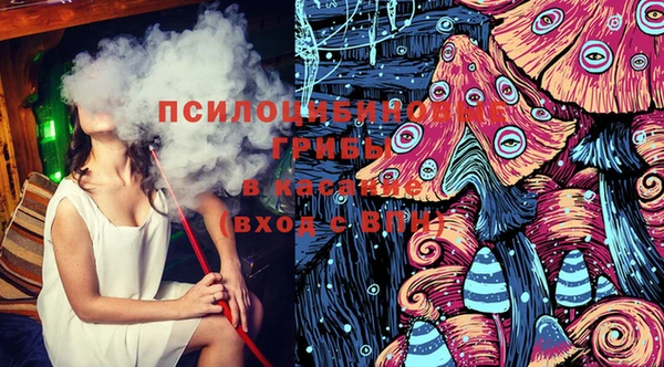 прущие крисы Саяногорск