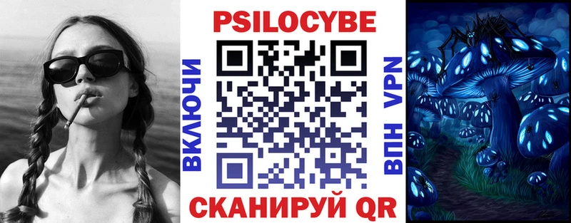 закладка  Разумное  Псилоцибиновые грибы мухоморы 