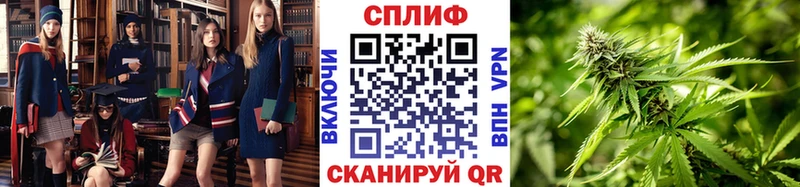 Бошки Шишки гибрид  Разумное 